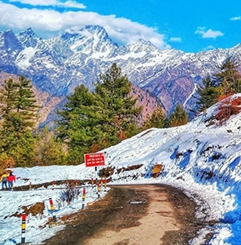 Auli Tour Package