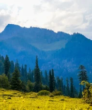 Uttarakhand Summer Trekking