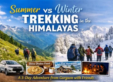 Winter Summer Trekking